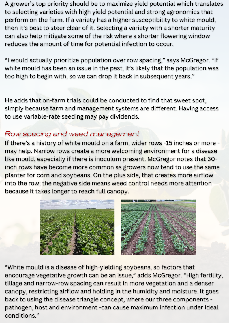Eastern ON hot spot for white mould 2