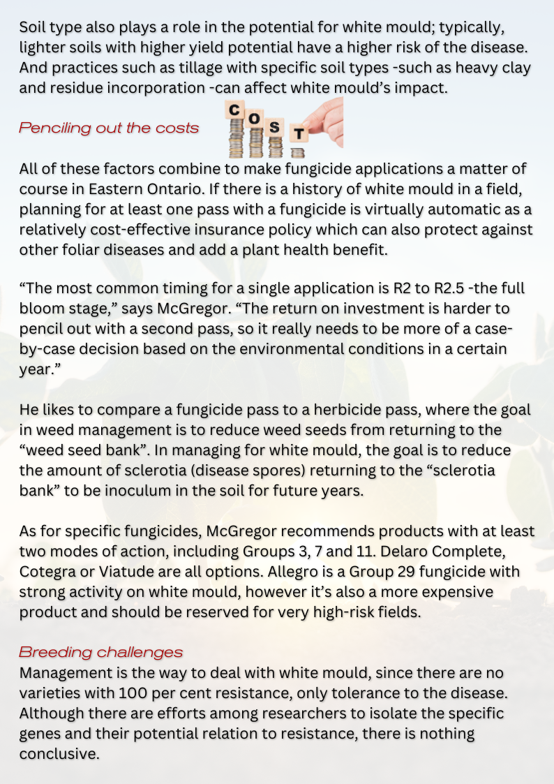 Eastern ON hot spot for white mould 3