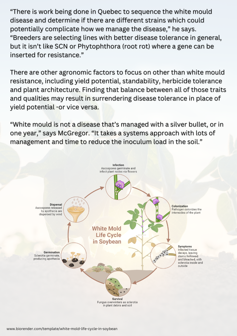 Eastern ON hot spot for white mould 4