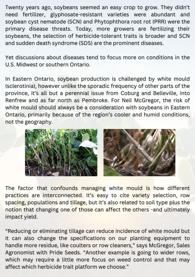 Eastern ON hot spot for white mould