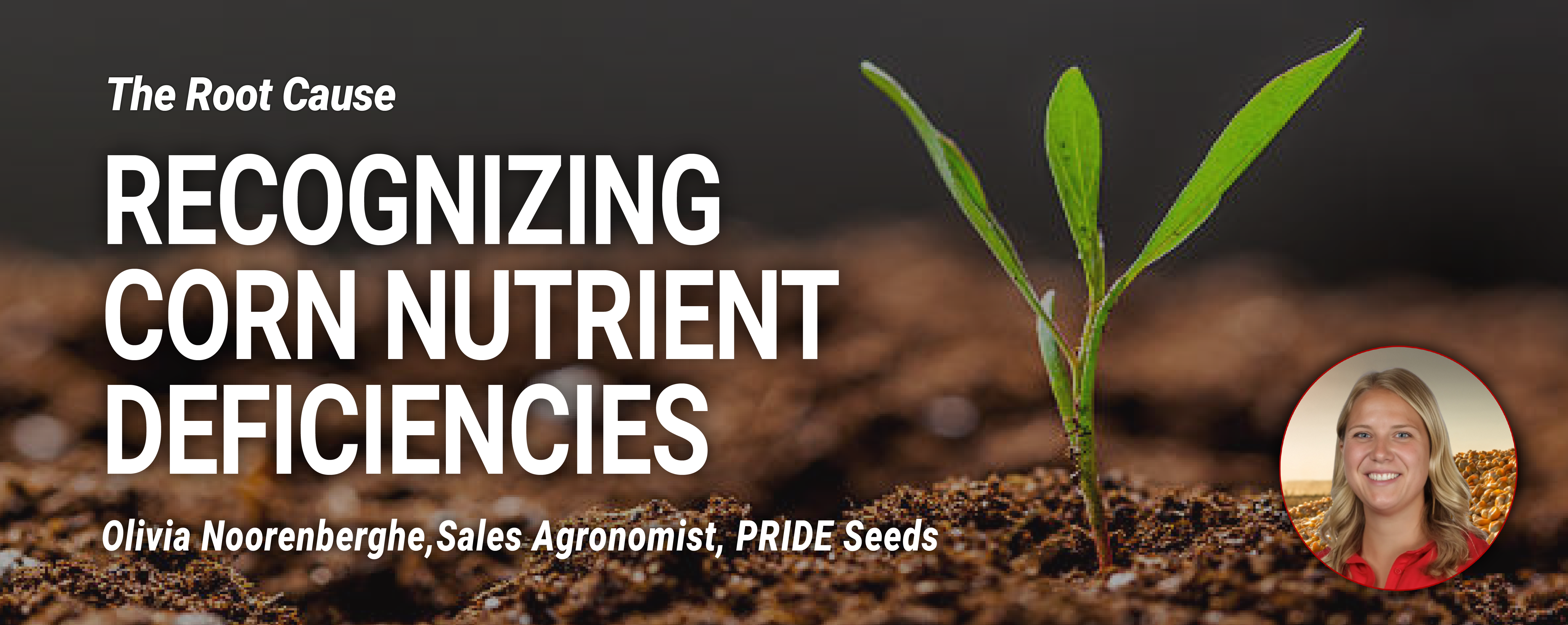 Hubstpot Cover photo_Olivia Article_soil nutrients